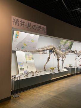 福井県立恐竜博物館に投稿された画像（2024/1/27）