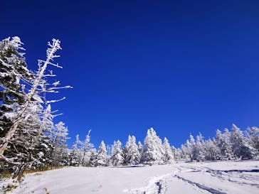 北八ヶ岳ロープウェイに投稿された画像（2024/1/27）