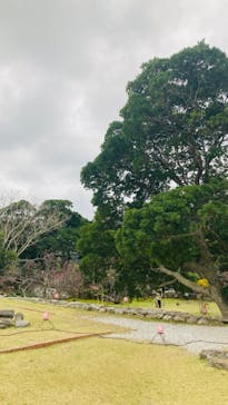 今帰仁城跡に投稿された画像（2024/1/27）