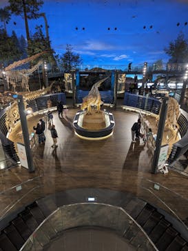 福井県立恐竜博物館に投稿された画像（2024/1/27）