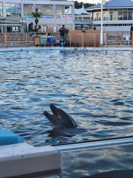 横浜・八景島シーパラダイスに投稿された画像（2024/1/27）