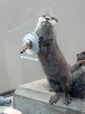 横浜・八景島シーパラダイスに投稿された画像（2024/1/27）