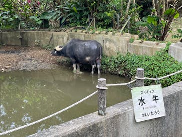 石垣やいま村に投稿された画像（2024/1/27）