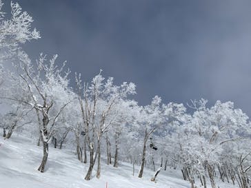 星野リゾート　トマムスキー場に投稿された画像（2024/1/27）