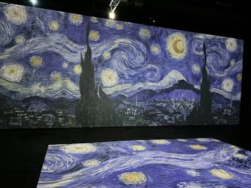 ゴッホ・アライブに投稿された画像（2024/1/27）