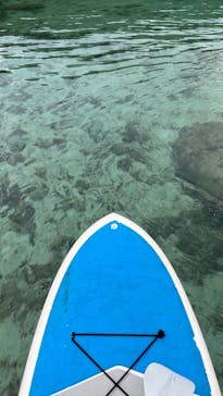 宮古島 ADVENTURE PiPi（ミヤコジマ アドベンチャー ピピ）に投稿された画像（2024/1/27）