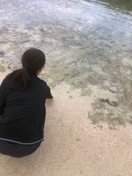 宮古島 ADVENTURE PiPi（ミヤコジマ アドベンチャー ピピ）に投稿された画像（2024/1/27）