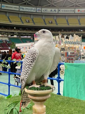 わんにゃんドームに投稿された画像（2024/1/27）