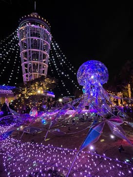 江の島シーキャンドルに投稿された画像（2024/1/27）