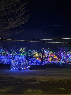 伊豆ぐらんぱる公園に投稿された画像（2024/1/27）