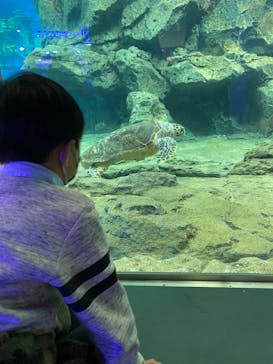 名古屋港水族館に投稿された画像（2024/1/27）