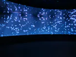 サンシャイン水族館に投稿された画像（2024/1/27）