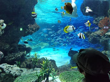 サンシャイン水族館に投稿された画像（2024/1/27）