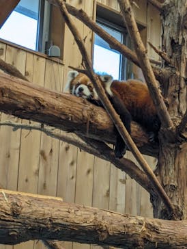 伊豆シャボテン動物公園に投稿された画像（2024/1/27）