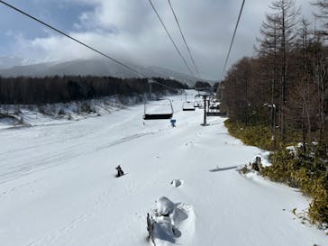 信州開田高原マイアスキー場に投稿された画像（2024/1/27）