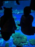 DMMかりゆし水族館に投稿された画像（2024/1/27）