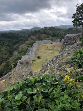 今帰仁城跡に投稿された画像（2024/1/27）