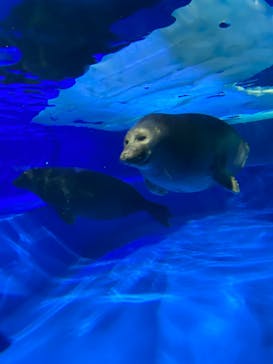 サンシャイン水族館に投稿された画像（2024/1/27）