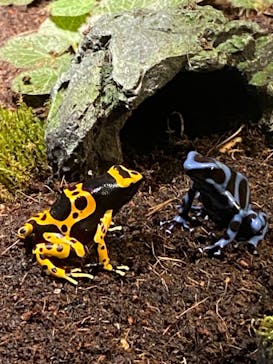 サンシャイン水族館に投稿された画像（2024/1/27）