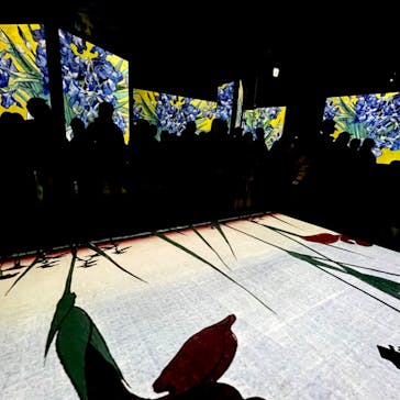 ゴッホ・アライブに投稿された画像（2024/1/27）