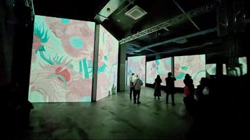 ゴッホ・アライブに投稿された画像（2024/1/27）