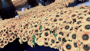 ゴッホ・アライブに投稿された画像（2024/1/27）