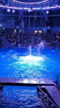 マクセル アクアパーク品川に投稿された画像（2024/1/27）