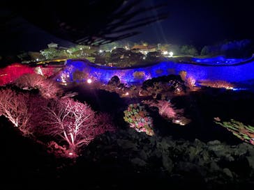 今帰仁城跡に投稿された画像（2024/1/27）