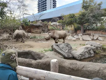 天王寺動物園に投稿された画像（2024/1/27）
