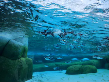 天王寺動物園に投稿された画像（2024/1/27）