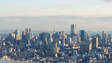 サンシャイン60展望台に投稿された画像（2024/1/27）