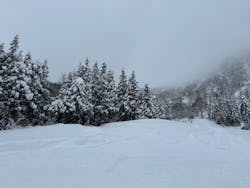 六日町八海山スキー場に投稿された画像（2024/1/27）