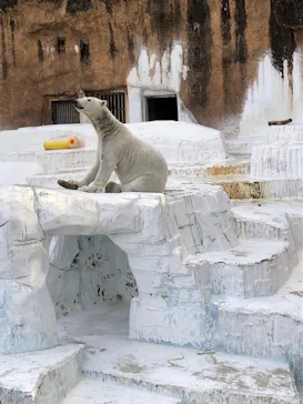 天王寺動物園に投稿された画像（2024/1/28）