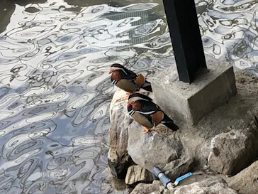 天王寺動物園に投稿された画像（2024/1/28）