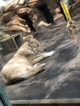 天王寺動物園に投稿された画像（2024/1/28）