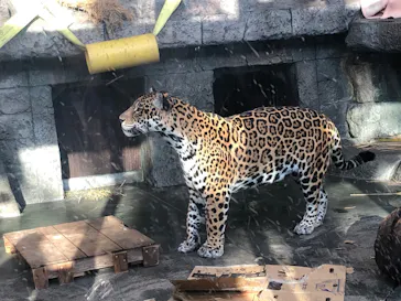 天王寺動物園に投稿された画像（2024/1/28）
