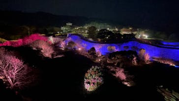 今帰仁城跡に投稿された画像（2024/1/28）