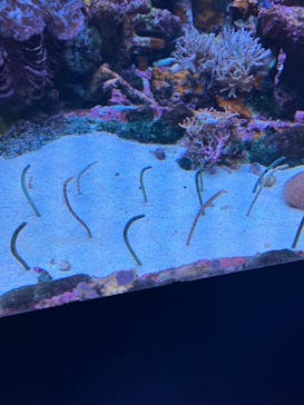 サンシャイン水族館に投稿された画像（2024/1/28）