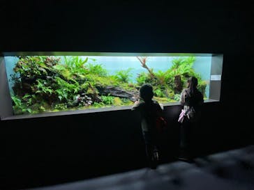 AOAO SAPPOROに投稿された画像（2024/1/28）