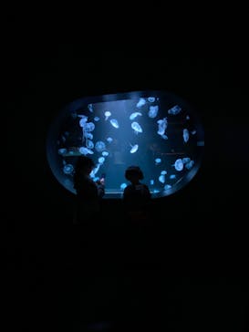 AOAO SAPPOROに投稿された画像（2024/1/28）