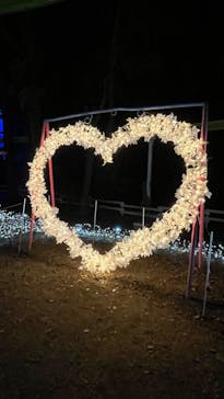 みろくの里に投稿された画像（2024/1/28）