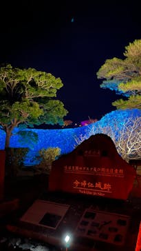 今帰仁城跡に投稿された画像（2024/1/28）