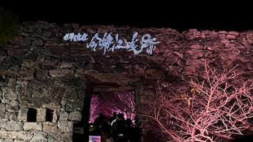 今帰仁城跡に投稿された画像（2024/1/28）