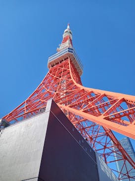 東京タワーに投稿された画像（2024/1/28）