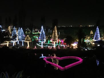 美らヤシパークオキナワ・東南植物楽園に投稿された画像（2024/1/28）