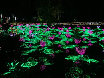 美らヤシパークオキナワ・東南植物楽園に投稿された画像（2024/1/28）