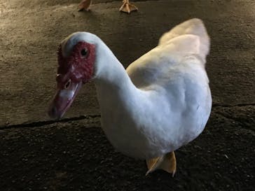 美らヤシパークオキナワ・東南植物楽園に投稿された画像（2024/1/28）