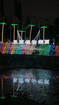 美らヤシパークオキナワ・東南植物楽園に投稿された画像（2024/1/28）