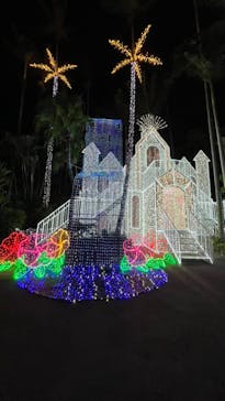 美らヤシパークオキナワ・東南植物楽園に投稿された画像（2024/1/28）