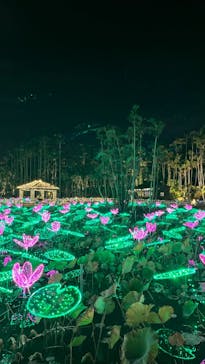 美らヤシパークオキナワ・東南植物楽園に投稿された画像（2024/1/28）